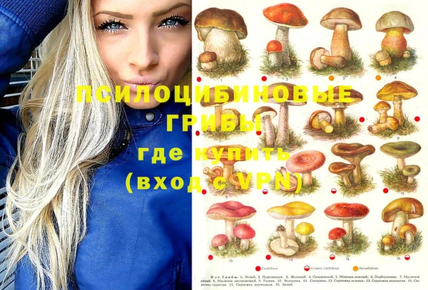 2c-b Абдулино