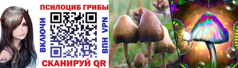 мега ссылка  Владикавказ  Псилоцибиновые грибы MAGIC MUSHROOMS 
